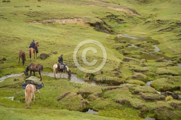 Getting a drink from the valley river in the high Andes