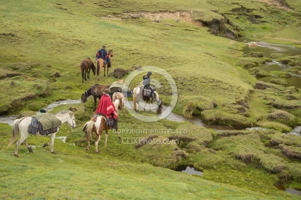 Getting a drink from the valley river in the high Andes