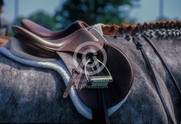 English Saddle 