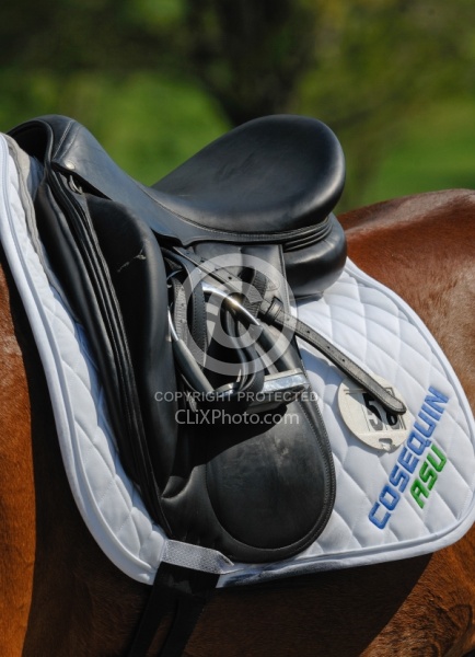 English Saddle 
