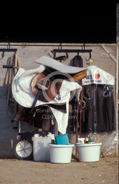 English Tack at Horse Show
