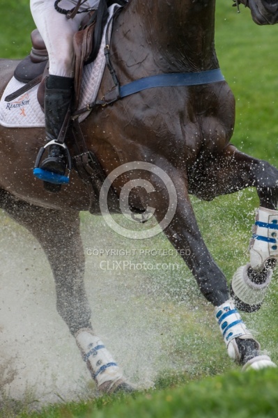 Eventer in Action