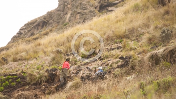A  Ecuadorian woman plants with her child beside