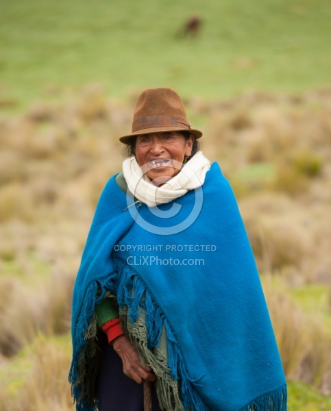 Lunch time vistor in the high Andes