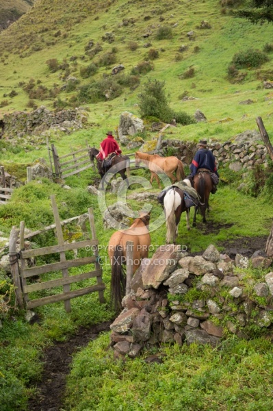 Leaving  Angels farm in the high Andes,Ecuador
