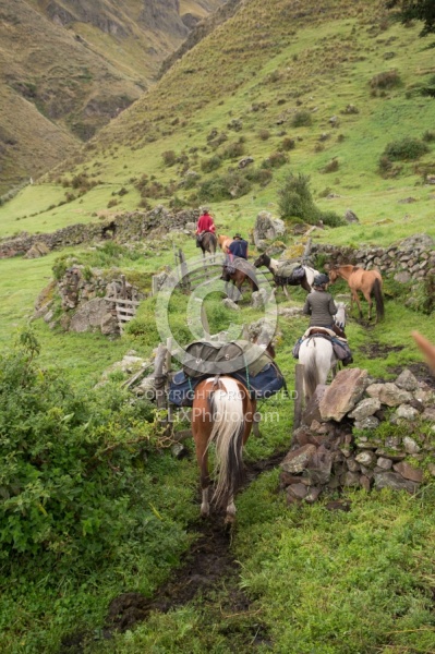 Leaving  Angels farm in the high Andes,Ecuador