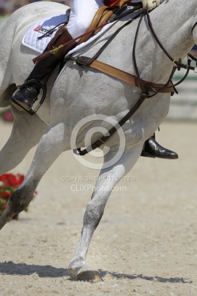 Bruce Davidson & Jam, Rolex 2009 Legs in Action