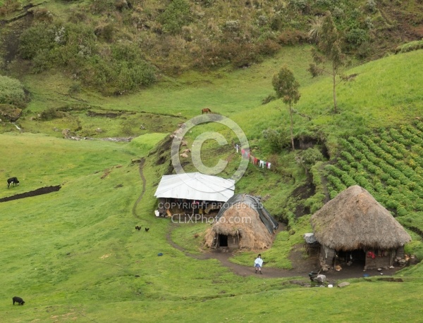 A typical farm in the High Andes. Ecuador
