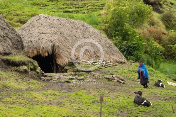 Typical Hut with Electricity in the High Andes