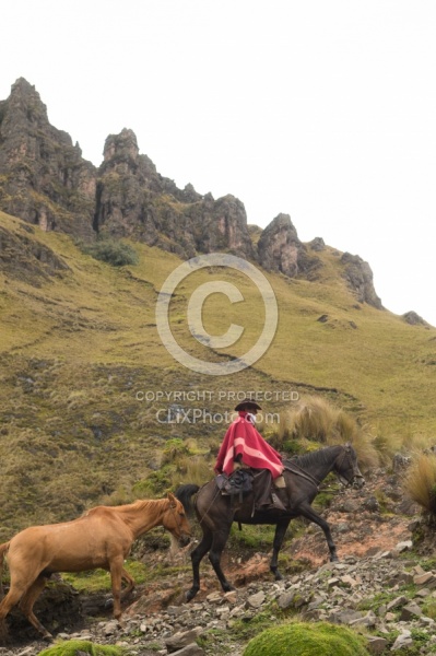 Rodrigo leads Bayou in the High Andes leaving Angels farm