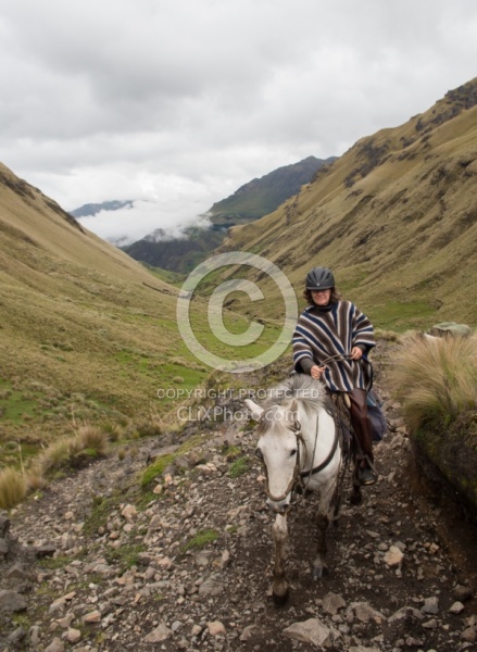 Ali in the Hgh Andes