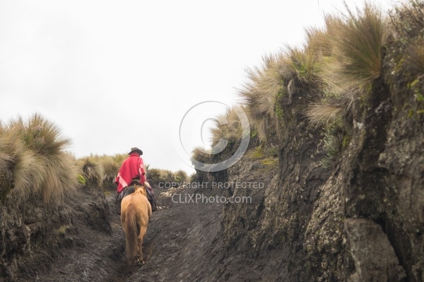 Rodrigo leads Bayou in the High Andes leaving Angels farm