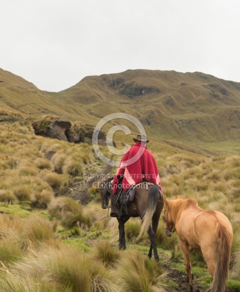Rodrigo leads Bayou in the High Andes leaving Angels farm