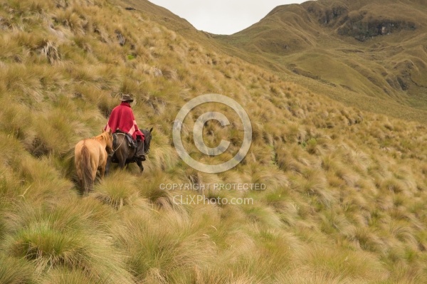 Rodrigo leads Bayou in the High Andes leaving Angels farm