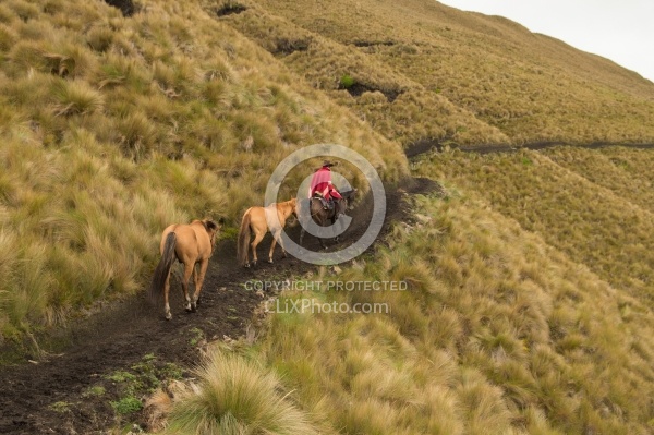 Rodrigo leads Bayou in the High Andes leaving Angels farm