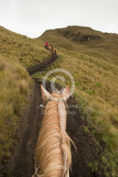 The Trail on the Ride out of the High Andes