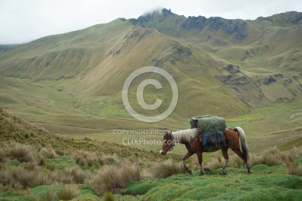 Packing out of the High Andes