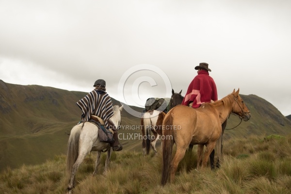 The View in the High Andes