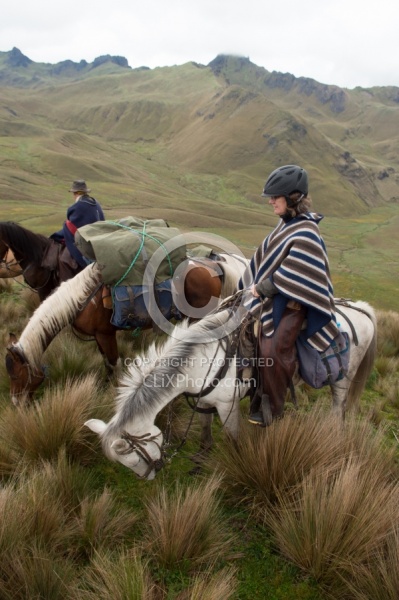 The View in the High Andes