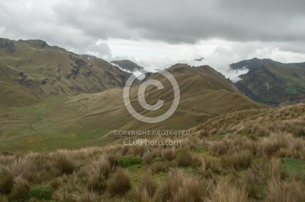 The Trail in the High Andes