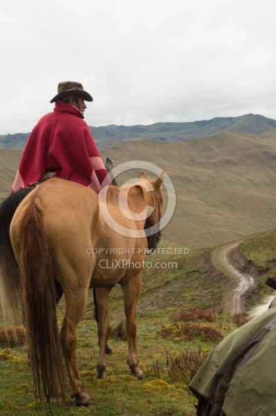 Rodrigo leads Bayou in the High Andes leaving Angels farm