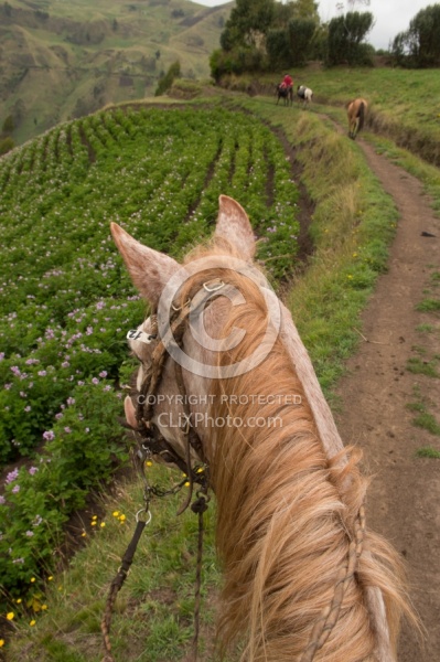 The View on the way down from the High Andes