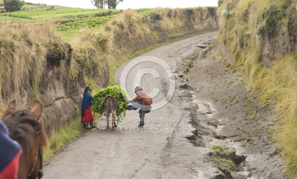 An Elderly Couple Secure the Load on Their Donkey