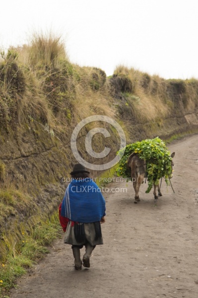 A Woman follows her Donkey