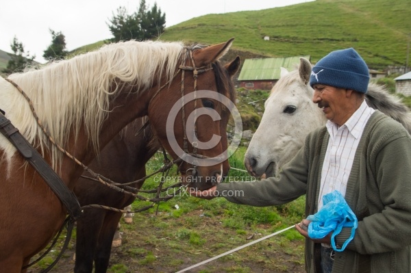 Jorge Gives Treats at The Hot Springs
