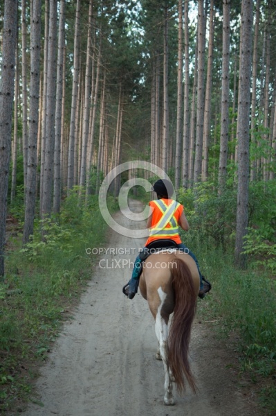Being Seen on the Trail