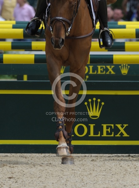 Rolex 2011 Arena Footing