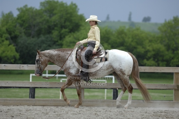 Appaloosa Western Pleasure