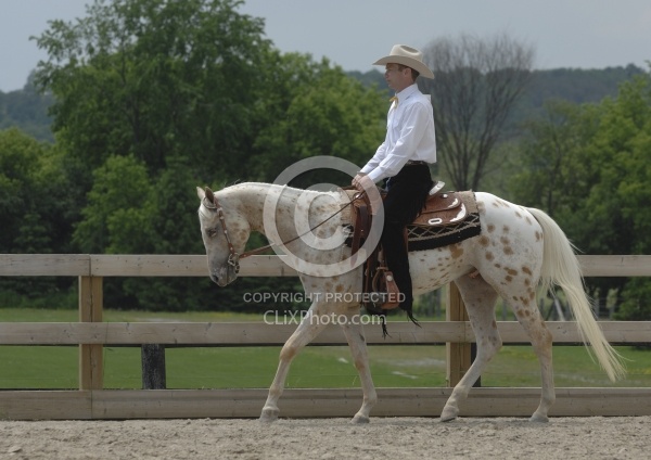 Appaloosa Western Pleasure