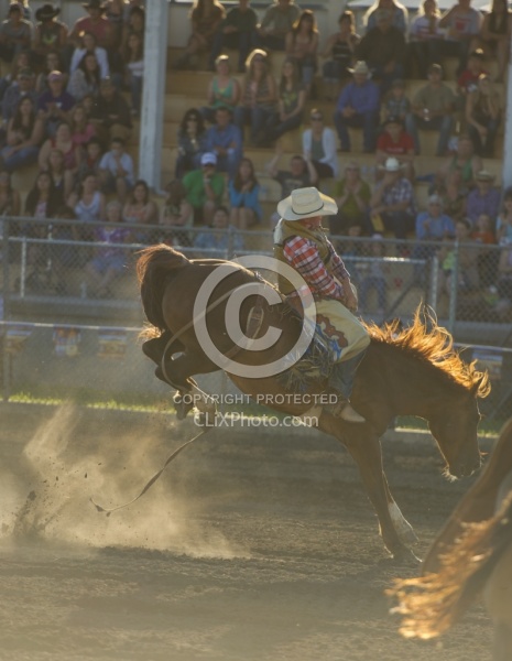 Bucking Bronco