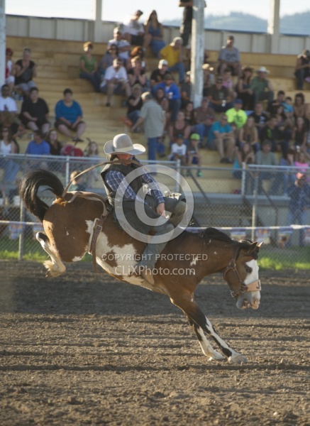 Bucking Bronco