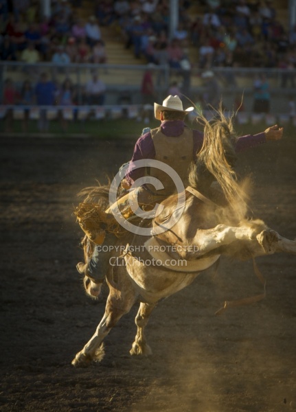 Bucking Bronco