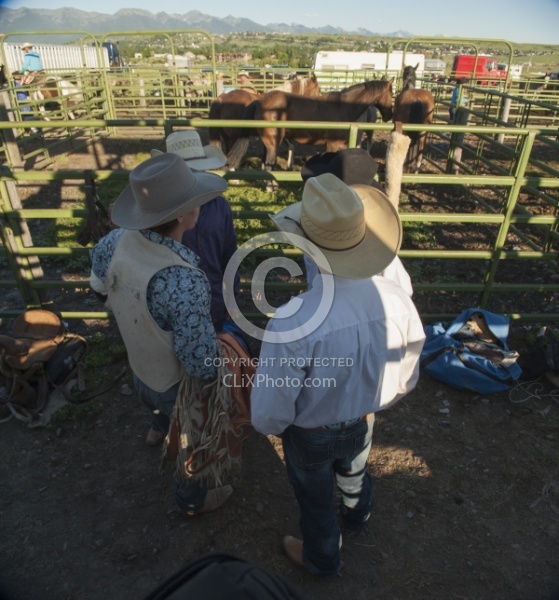 Rodeo Horses In Pens
