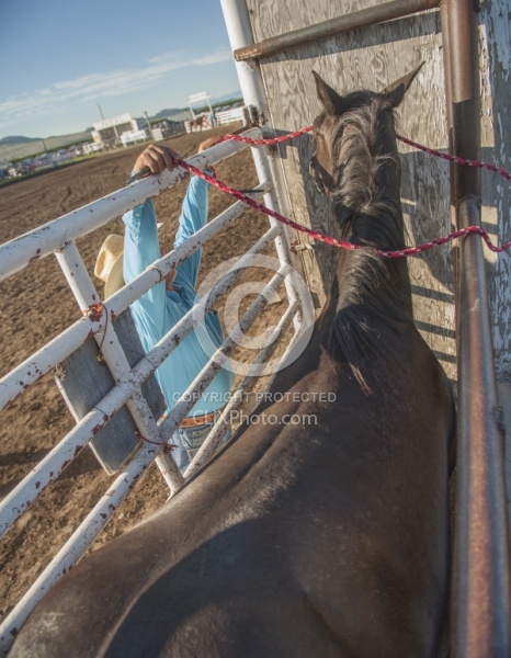 Broncos in the Chute