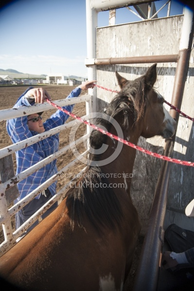 Broncos in the Chute