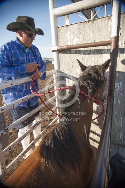 Broncos in the Chute