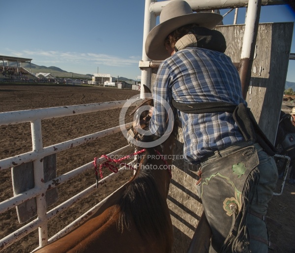 Broncos in the Chute