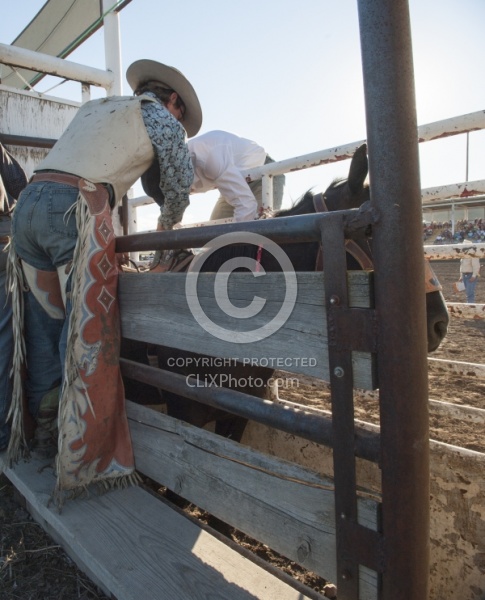 Broncos in the Chute