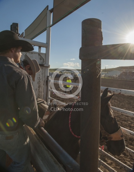 Broncos in the Chute