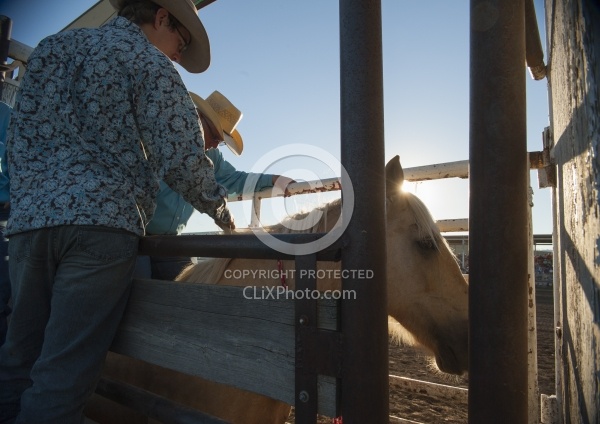 Broncos in the Chute