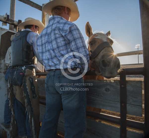 Broncos in the Chute