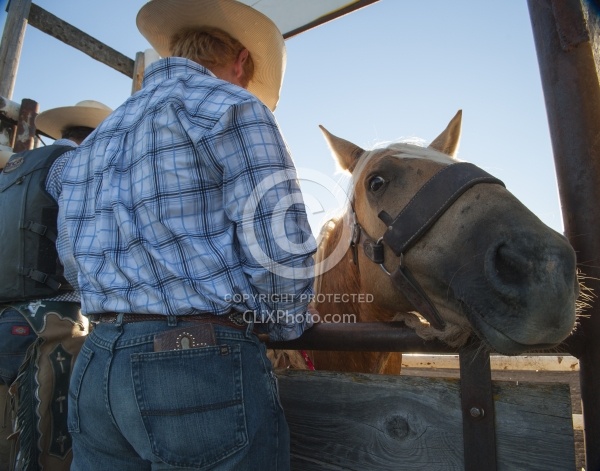 Broncos in the Chute