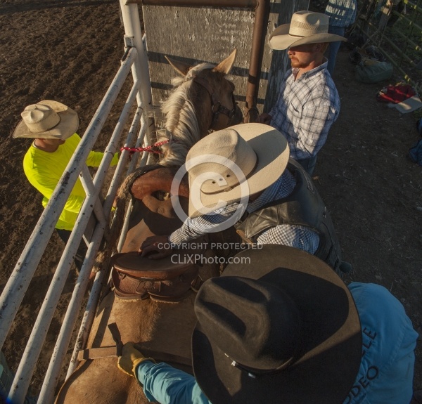 Broncos in the Chute