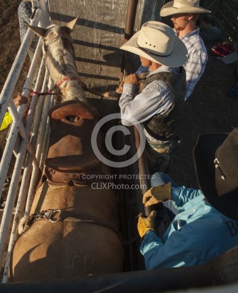 Broncos in the Chute