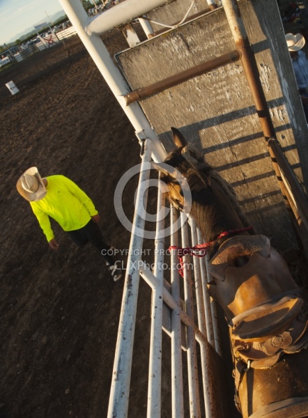 Broncos in the Chute