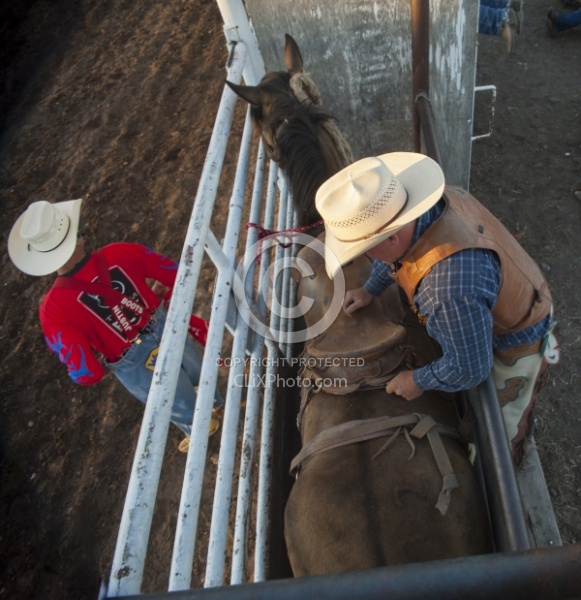 Broncos in the Chute